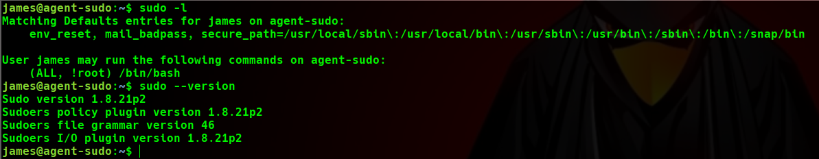 sudo-l